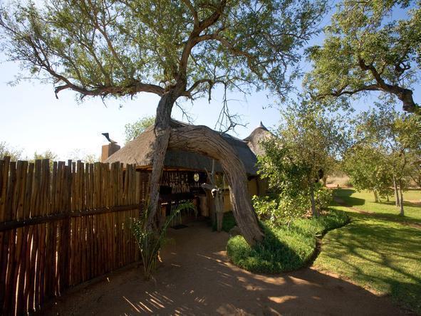 Africa on Foot - Camp2